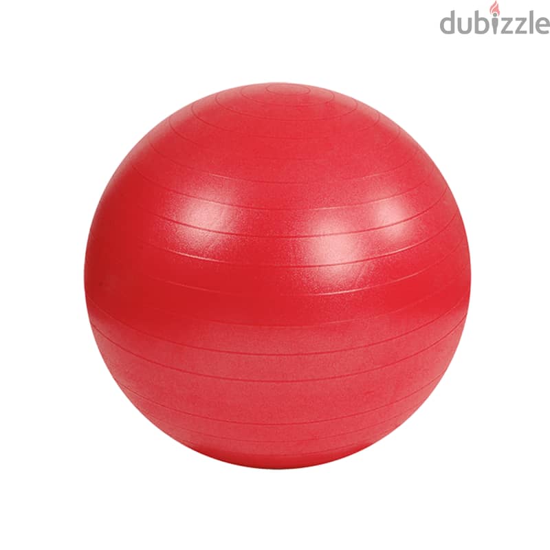 Fitness Art Gym ball 4