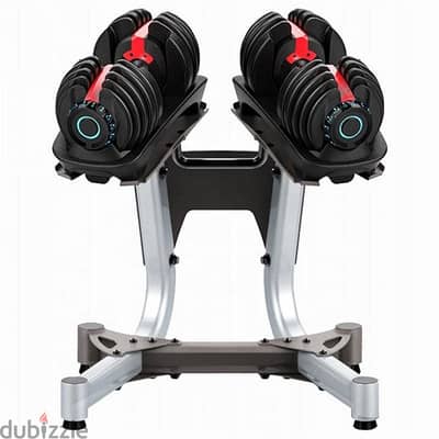 Adjustable dumbbells (with stand)