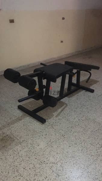 leg extension leg curl bench like new 4