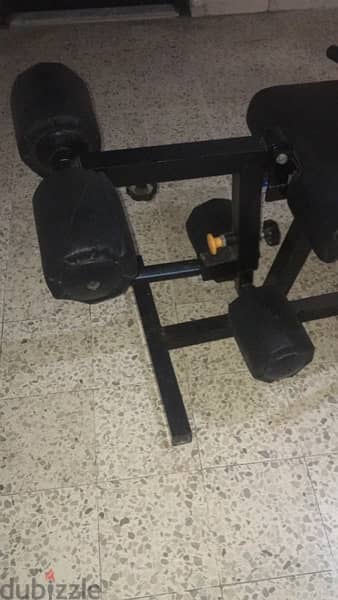 leg extension leg curl bench like new 5