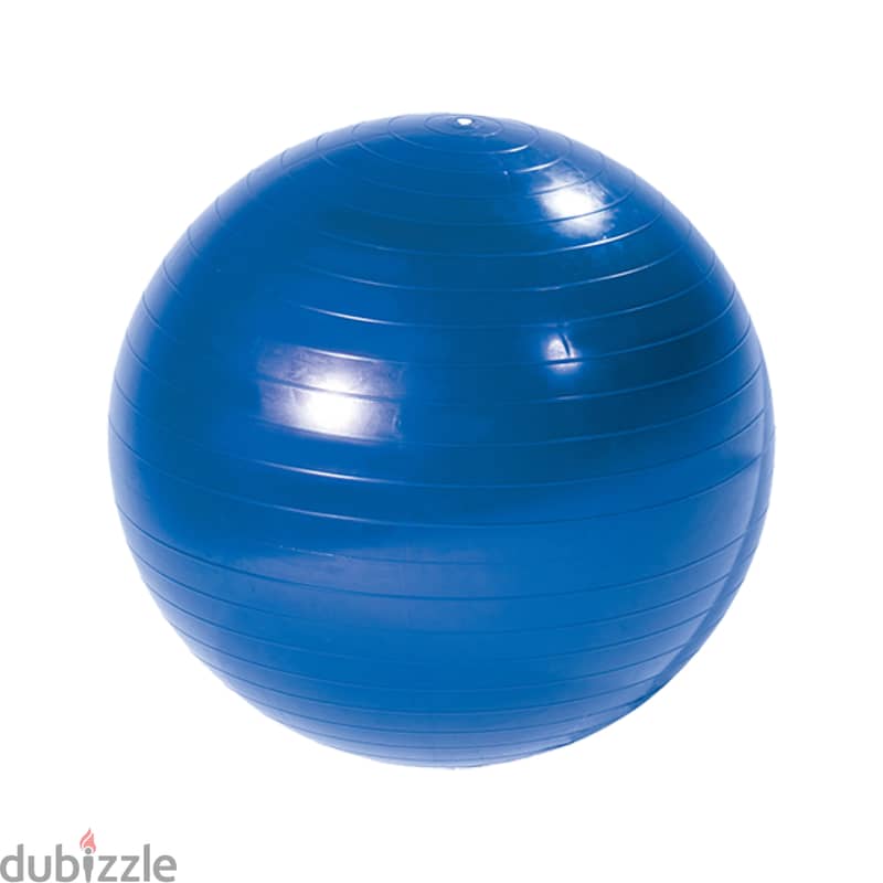 Fitness Art Gym ball 2
