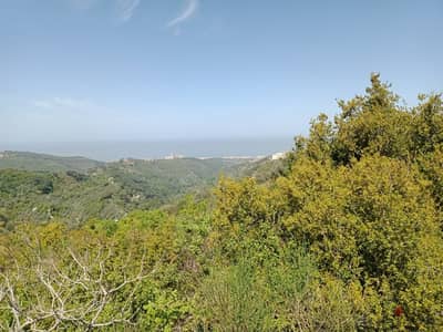 950 Sqm | Land For Sale In Abey , Aley | Panoramic View