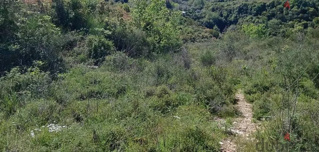950 Sqm | Land For Sale In Abey , Aley | Panoramic View 1