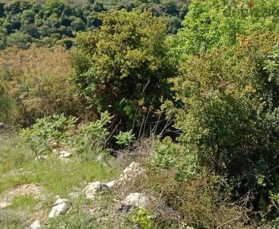 950 Sqm | Land For Sale In Abey , Aley | Panoramic View 3