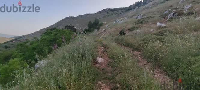 14000 Sqm | Agriculture Land for Sale in Rachaya