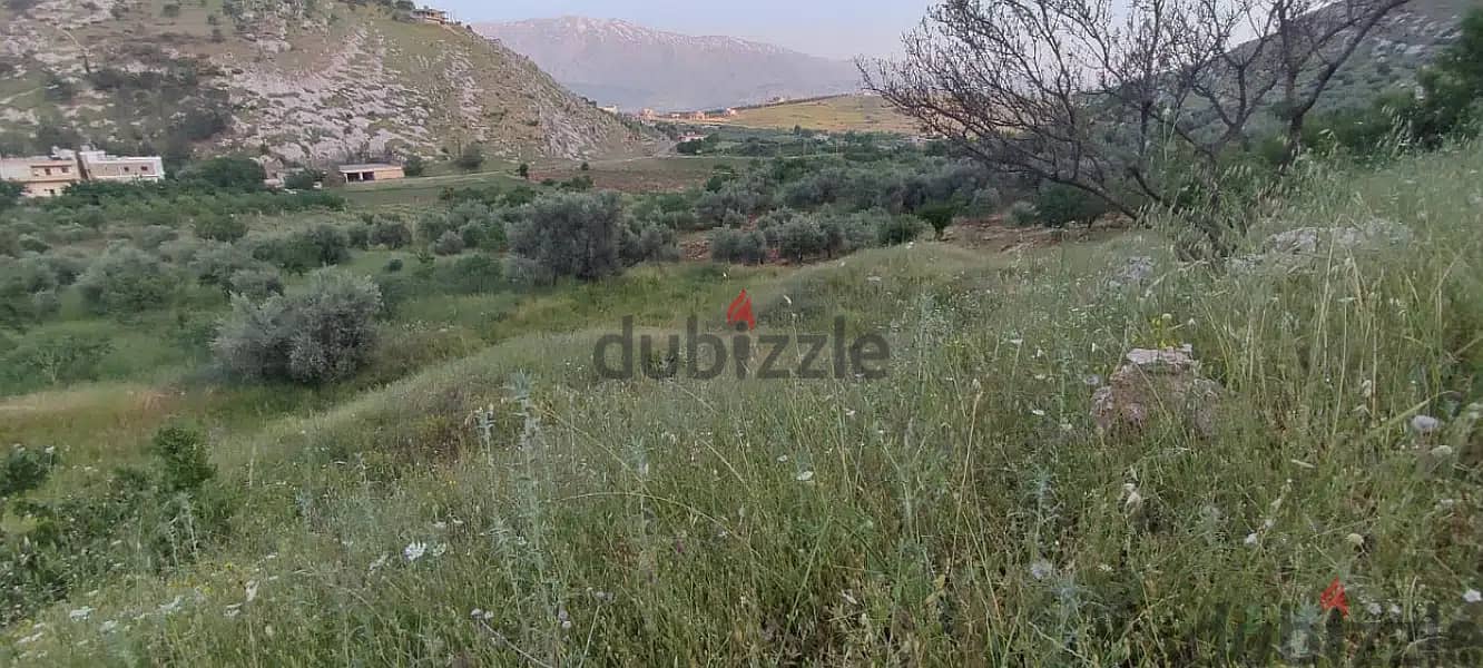 14000 Sqm | Land for Sale in Rachaya 1