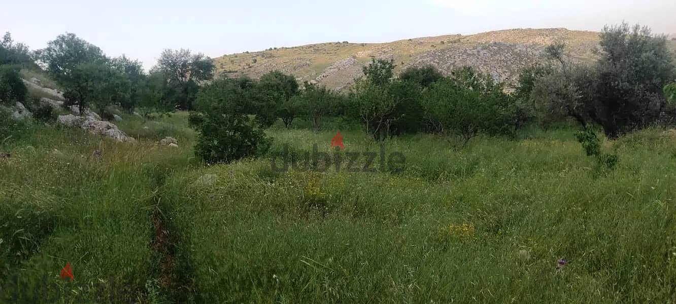 14000 Sqm | Land for Sale in Rachaya 3