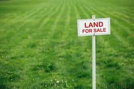 Land for sale in Ain Anoub  أرض للبيع في عين عنوب