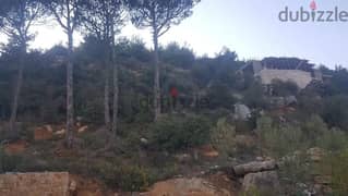 1.300 Sqm | Land For Sale In Banyeh With Open View