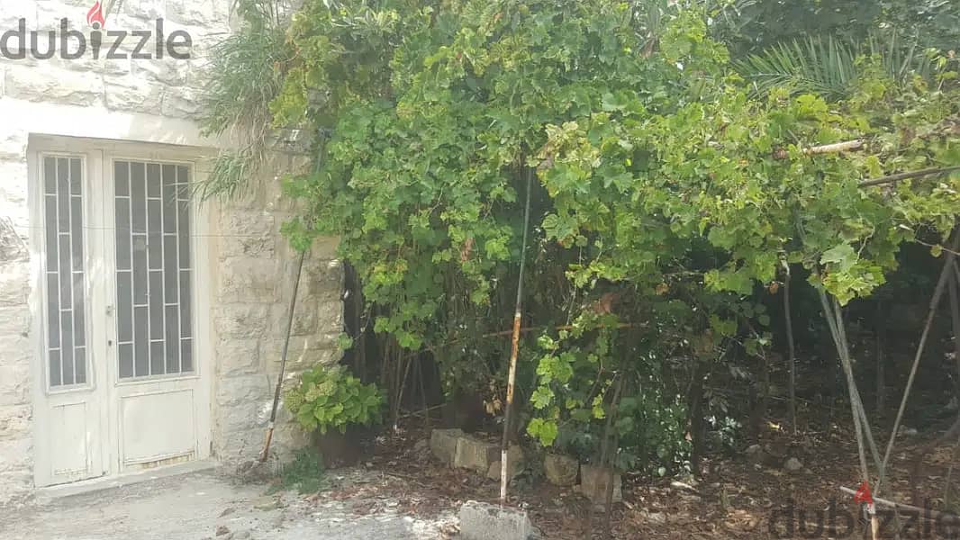 Historic House with Land for sale in Souk EL Ghareb 8