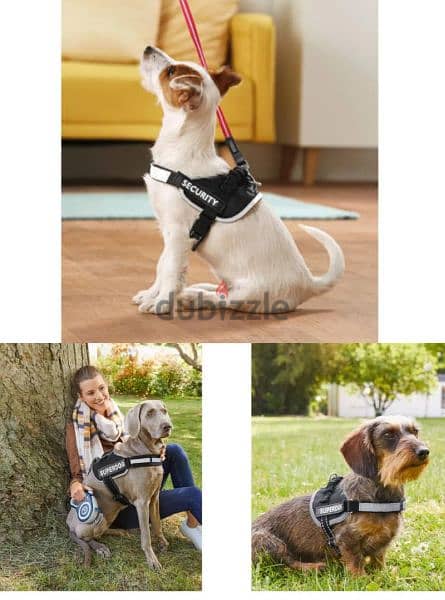 Zoofari Dog Harness Comfortable 3