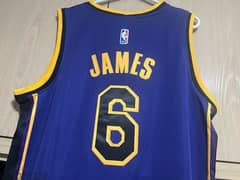 james lakers number 6 special edition