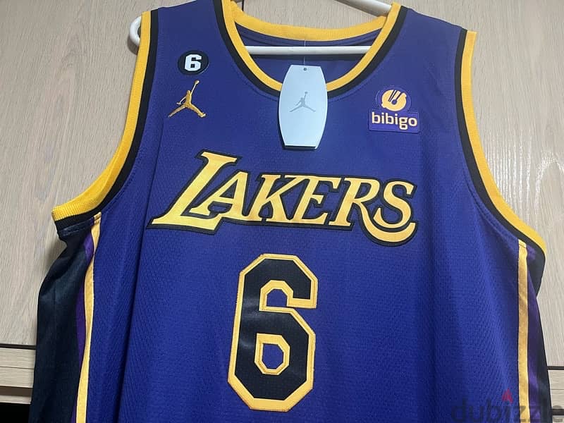 james lakers number 6 special edition 1