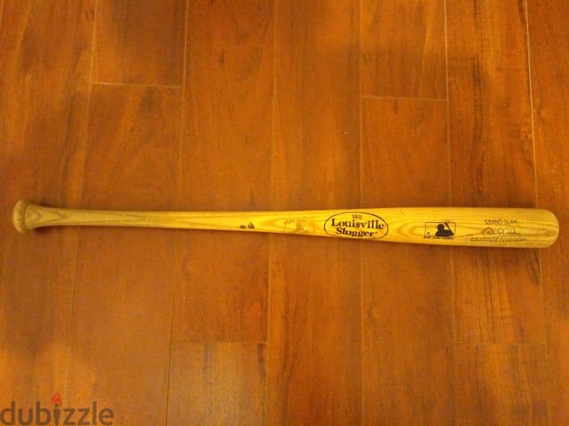 baseball bat 19