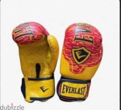 EVERLAST Boxing Gloves 0
