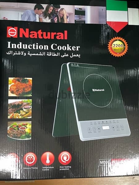 induction electrcal cooker for stainless steel pans only 3