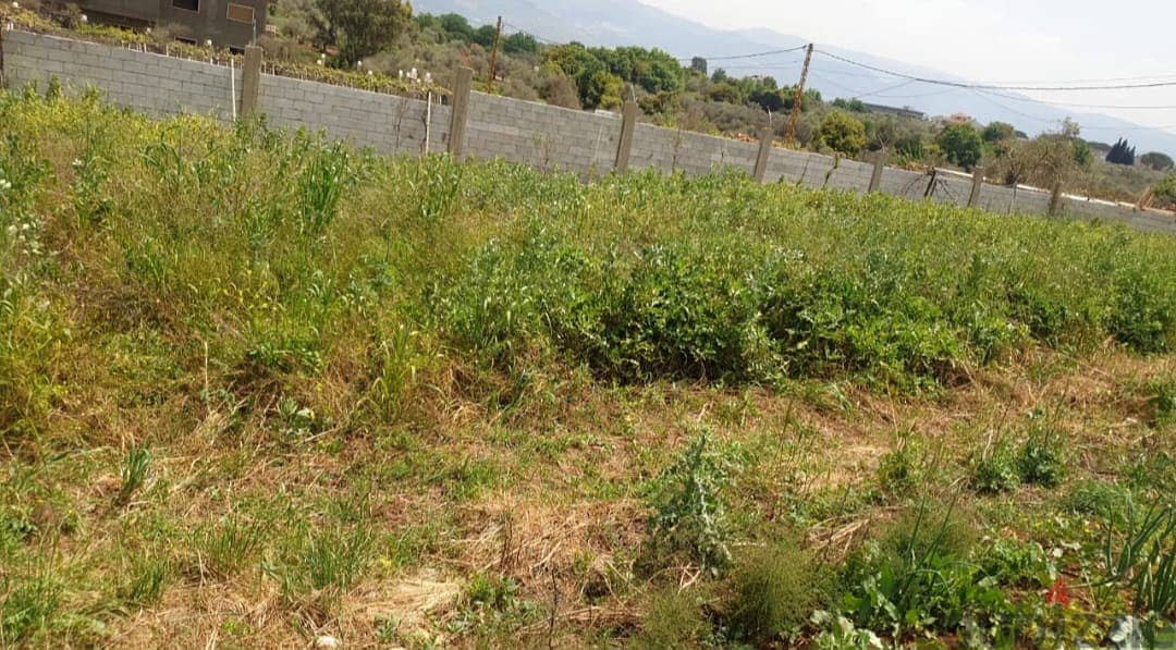 1000 m2 land having an open mountain view for sale in Koura 3