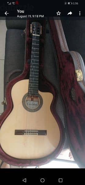 Cordoba electro acoustic guitar 5