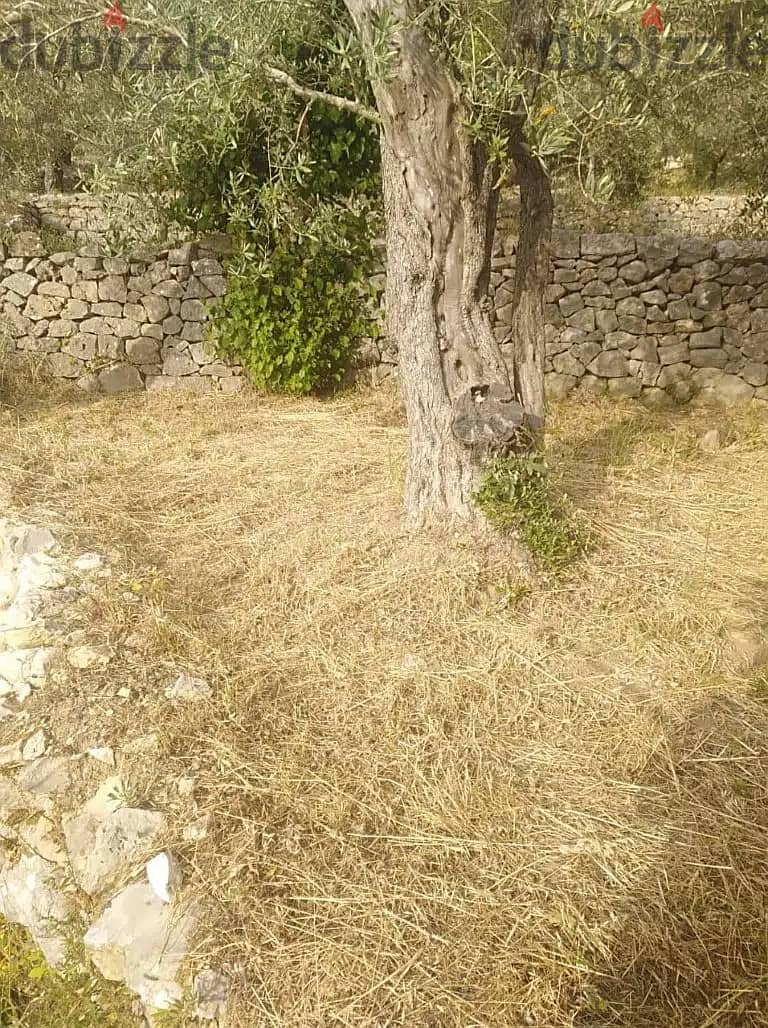 150 Sqm + 600 Sqm Garden | Detached House For Sale in Chouf / Hasrout 4