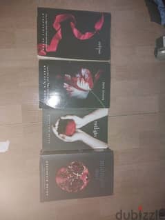 Twilight Series (excluding Breaking Dawn but with Midnight Sun)