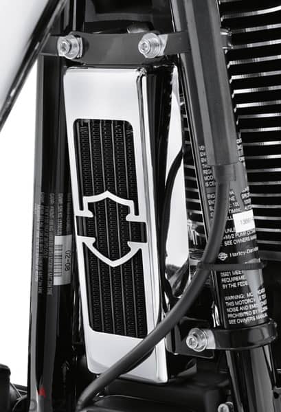 Harley-Davidson 100 Th. Anniversary Fat Boy 8