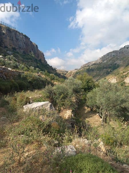 ارض للبيع في شارون جبل عاليه land for sale in sharon mount lebanon 0