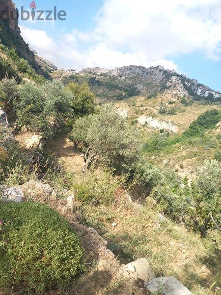 ارض للبيع في شارون جبل عاليه land for sale in sharon mount lebanon 5