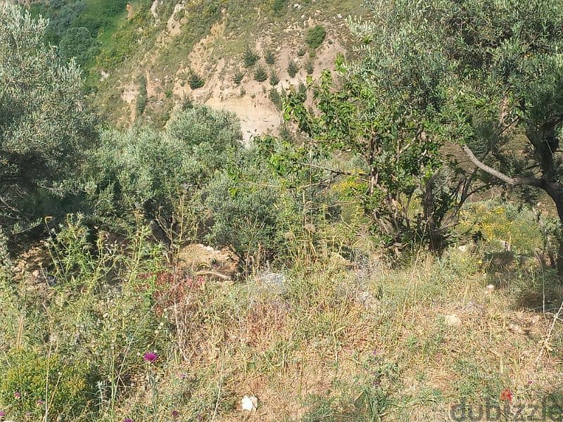 ارض للبيع في شارون جبل عاليه land for sale in sharon mount lebanon 6