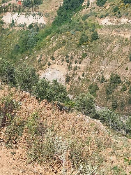 ارض للبيع في شارون جبل عاليه land for sale in sharon mount lebanon 12