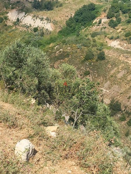 ارض للبيع في شارون جبل عاليه land for sale in sharon mount lebanon 6
