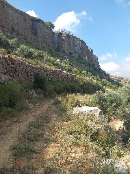 ارض للبيع في شارون جبل عاليه land for sale in sharon mount lebanon 3