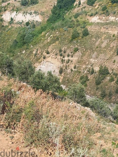 ارض للبيع في شارون جبل عاليه land for sale in sharon mount lebanon 15