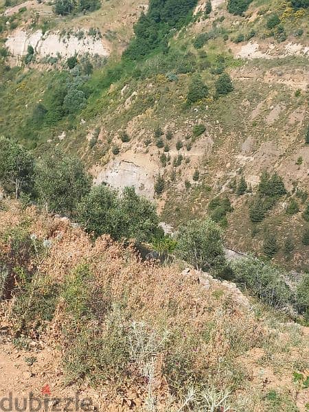 ارض للبيع في شارون جبل عاليه land for sale in sharon mount lebanon 14