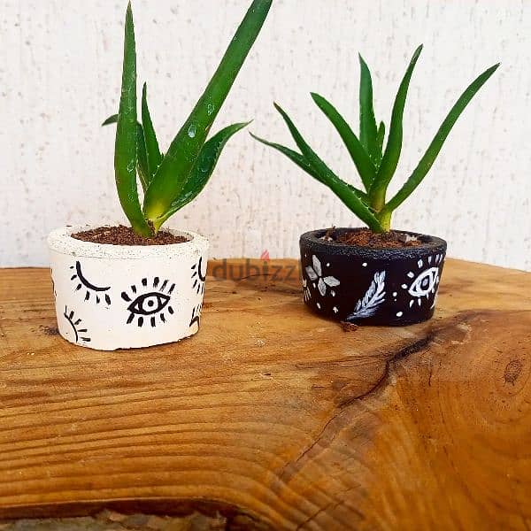handmade concrete pot plants, ازهار طبيعية 2