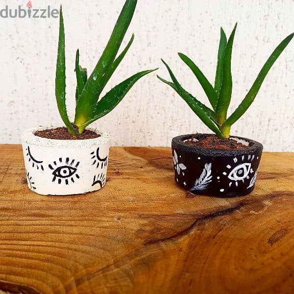 handmade concrete pot plants, ازهار طبيعية 4