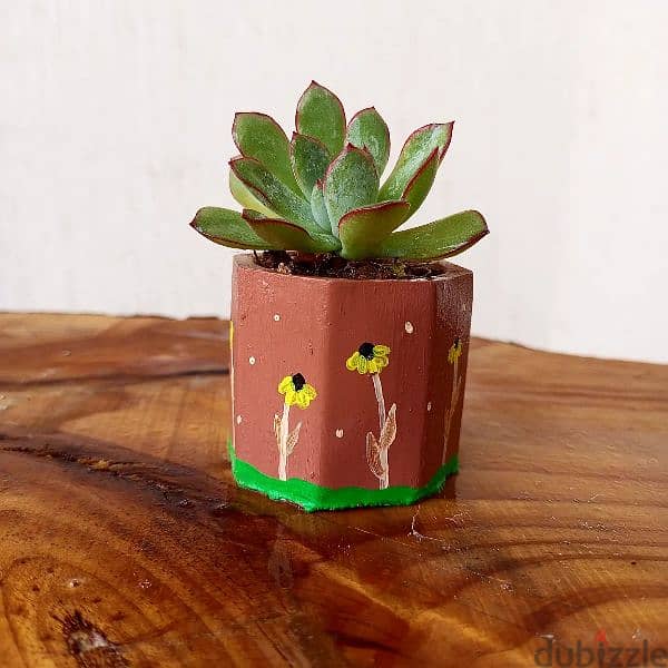 handmade concrete pot plants, ازهار طبيعية 7