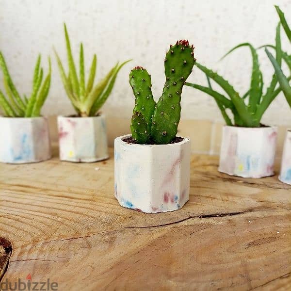 handmade concrete pot plants, ازهار طبيعية 11