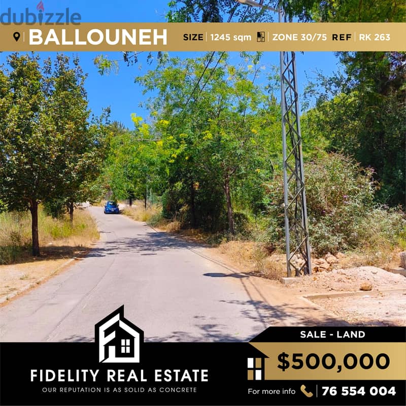 Land for sale in Ballouneh RK263 0