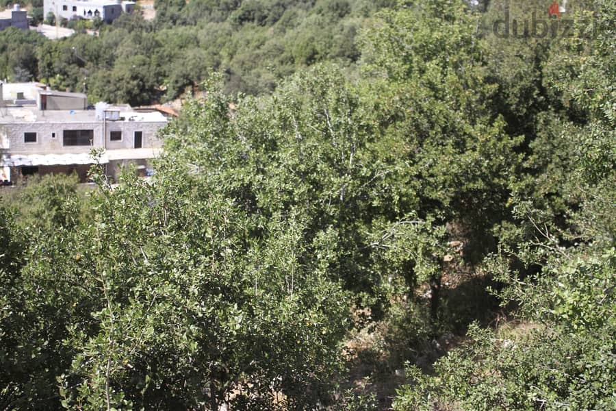 L12853-5,200 SQM Land With Great Green View for Sale In Bikfaya 2