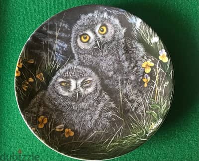 The two baby owl plate / England