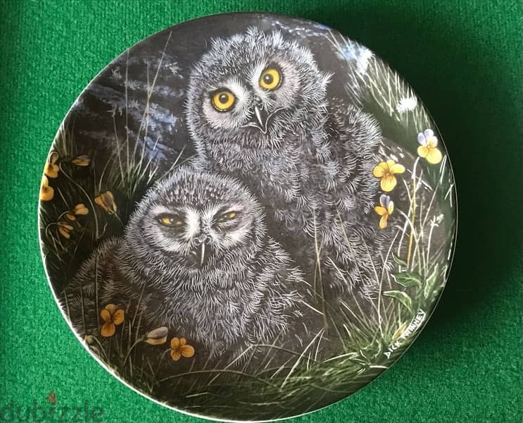 The two baby owl plate / England 0