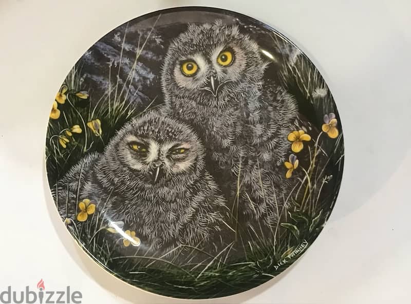 The two baby owl plate / England 2