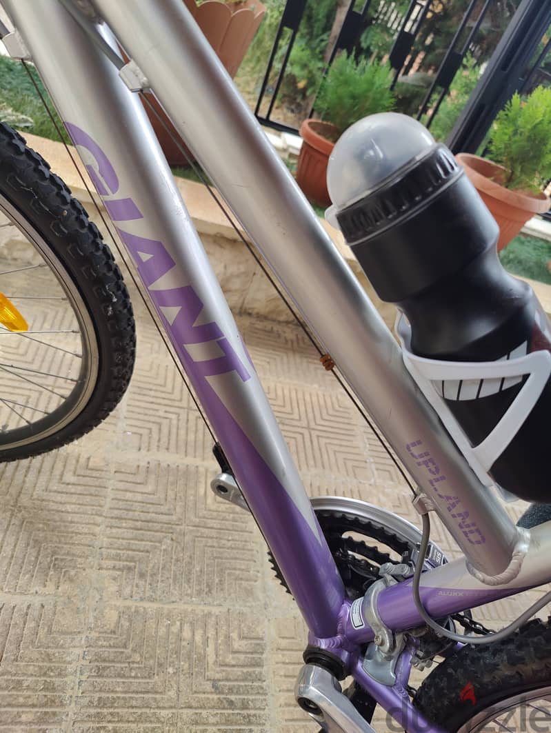 Giant boulder bike online purple