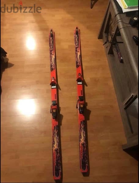 ski salamon 1