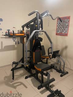 Deluxe Home gym (3 stations)