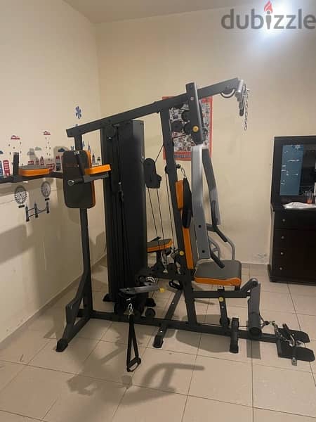 Deluxe Home gym (3 stations) 1