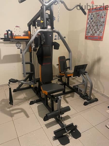 Deluxe Home gym (3 stations) 2