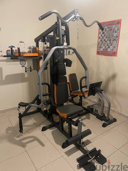 Deluxe Home gym (3 stations) 3