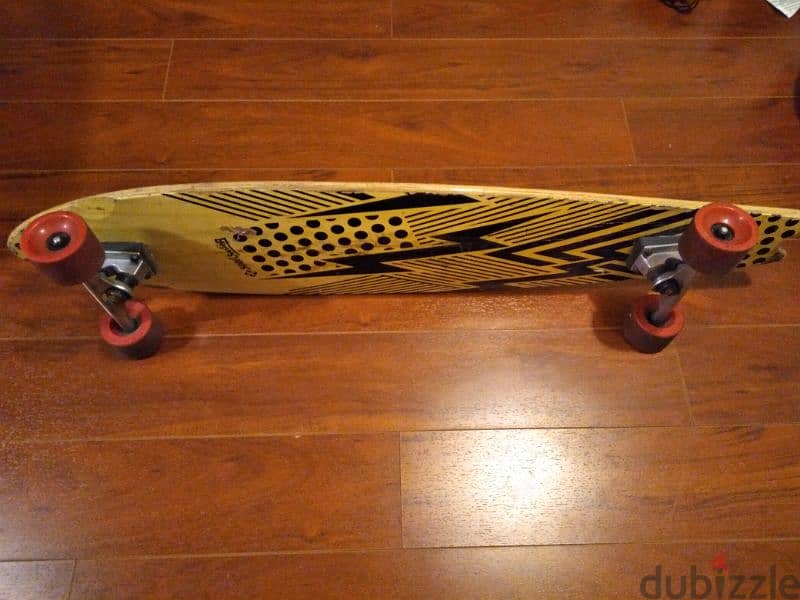 Skate board 1