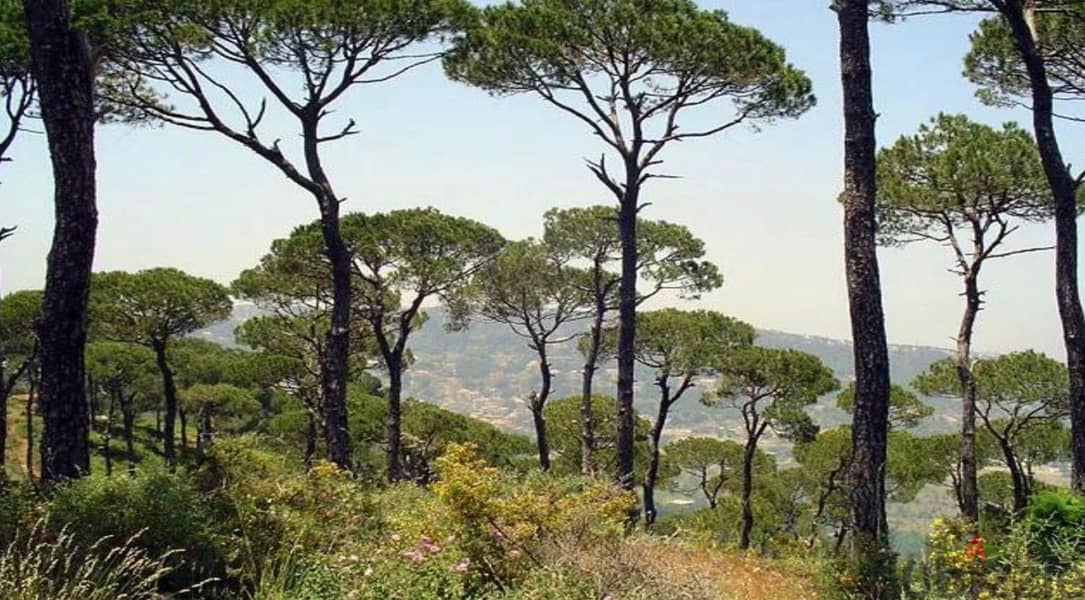 Amazing Spectacular LAnd for sale in Ain Onoub aley amazing view 2